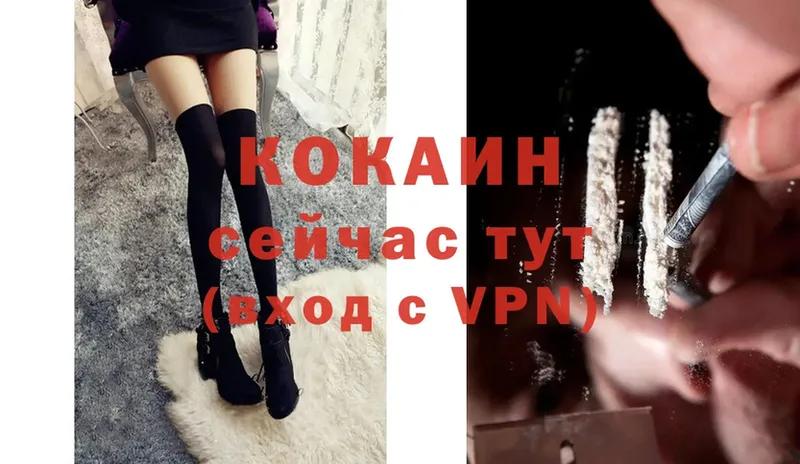 где купить   Катайск  COCAIN Колумбийский 